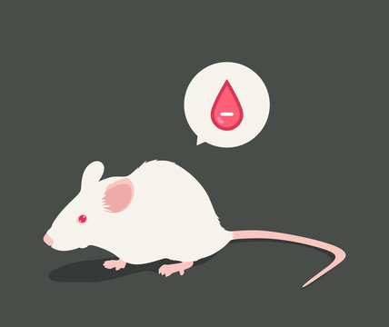 Lab white rat vector illustration