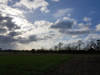 Fototapeta premium Poranek pochmurny