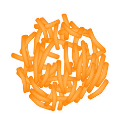 Clostridium difficile. Pathogenic flora. The bacterium causes intestinal diseases. Infographics. Vector illustration.