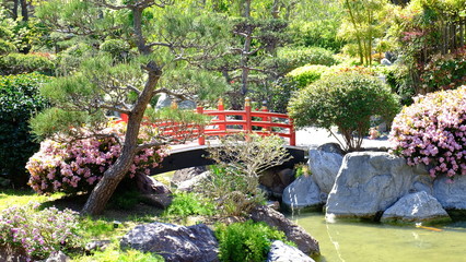 Japanese Garden in Monaco