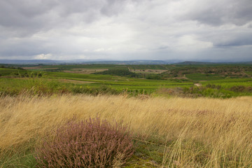 Obraz premium Viewpoint along hiking trail 