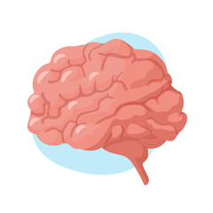 Brain icon. Human internal organs. Vector illustration