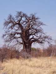 Botswana