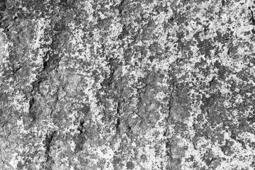 Fototapeta premium black and white abstract stone texture background