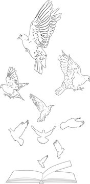 nine doves flying above open book on white