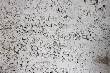 Old white wall texture