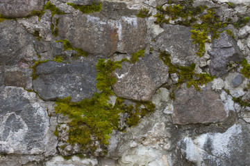 Old wall with moss as background