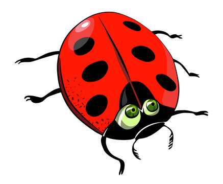 Cartoon image of ladybug. An artistic freehand picture.