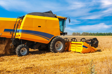 Obraz premium Combine harvester on a wheat field.