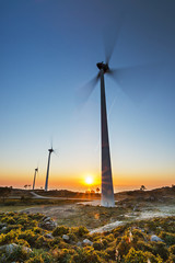 Wind turbine near the sea at sunset