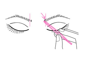 Woman doing her eyebrows shape. Vetcor illustration