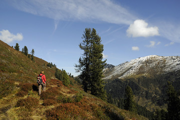 Obraz premium Salzachgeier