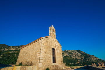 Fototapeta na wymiar The Church of St. Sava in Montenegro