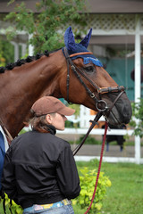 Obraz premium Girl restrains a horse with a snaffle bit, english style 
