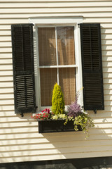 Window with shutters and window box in historic downtown Charleston, SC.