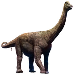 Saltasaurus from the Cretaceous era 3D illustration