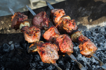 Cooking meat on the fire