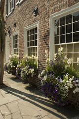 Three windows with window boxes holding white flowers in spring in Charleston.