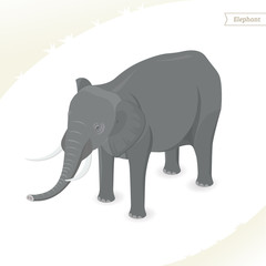Elephant isolated on white background. Isometric view. Vector illustration.