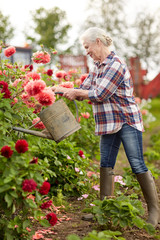 senior woman watering flowers at summer garden