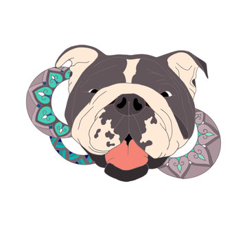 Hand Drawn Illustration of bulldog in doodle style.