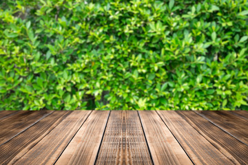 Old wood coordination table top on nature background,Space available for the product