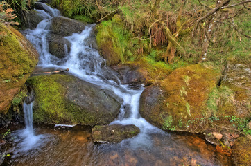 Naklejka na ściany i meble Kleiner Bach im Dartmoor Nationalpark
