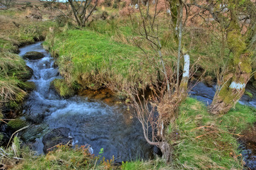 Kleiner Bach im Dartmoor Nationalpark