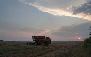 Obraz premium Harvesting grain on the field at sunset