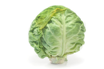 Fresh young cabbage isolated on white