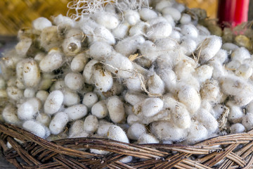 Dry silk cocoons