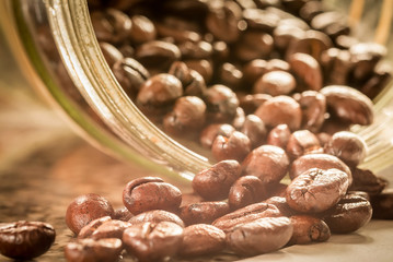 Close up of Roasted Coffee Bean
