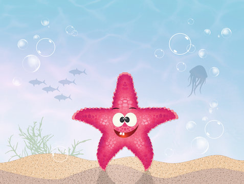 starfish in the ocean