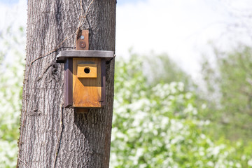Vogelhäuschen (mit weichem Bokeh-Hintergrund)