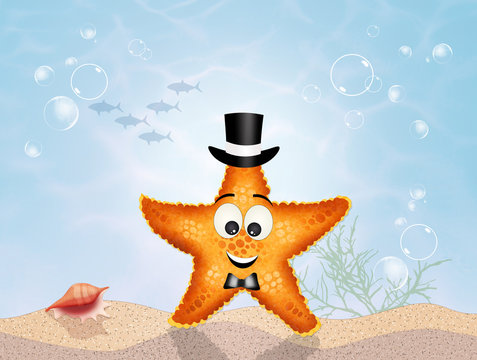 funny starfish in the ocean