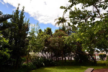 Ponta Delgada (Azores): Jardim António Borges