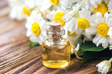 Essential oil in glass bottle with fresh chamomile flowers, beauty treatment. Spa concept. Selective focus. Fragrant oil of chamomile flowers, macro on wooden table horizontal. 
