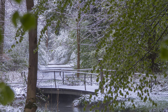 Wintereinbruch