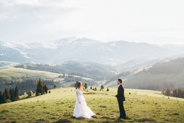 Beautiful bride and groom at the mountains