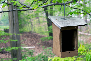 Wooden birdhouse hanging on a tree background