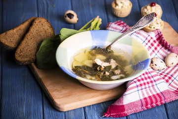 Green soup with sorrel and spinach