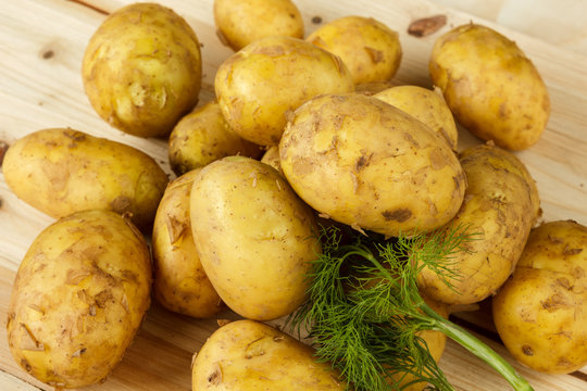 Raw new potatoes and a bunch of dill on a wooden background