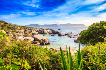 A view of Boulders beach in Simonstown, South Africa. - obrazy, fototapety, plakaty