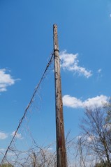 古い木造の架線柱