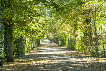 autumn scenery in the gardens and forests of the royal palace of San Ildefonso in the town of La Granja in Castile, Spain