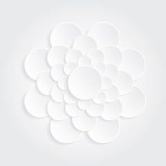 flower white circle