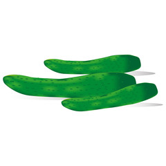 vector image group of cucumbers on a white background