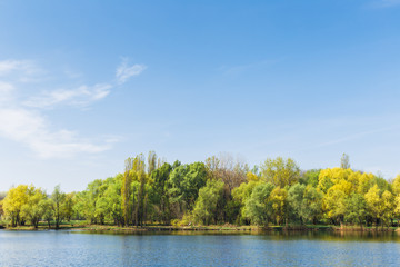 Fototapeta premium lake and forest landscape