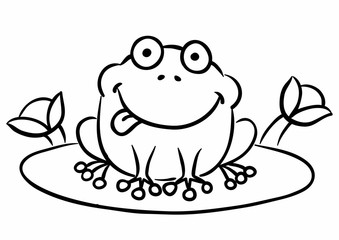 Cute Frog