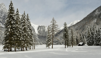 Fototapeta premium beautiful winter landscape at Antholz Lake, Italian Alps, South Tirol, Italy.